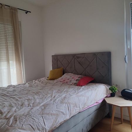 Ribnica Apartamento Podgorica Exterior foto